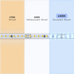 Светодиодная лента ПРО 160 24V 112 диодов 10W 6500К катушка 5 м ЧЗ