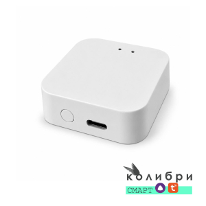 КОЛИБРИ СМАРТ Конвертер WI-FI для трековой системы, 100 шт/кор